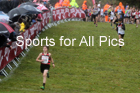 Boys under-13s, National Cross Country Relay Champs., Berry Hill Park, Mansfield.  Photo: David T. Hewitson/Sports for All Pics